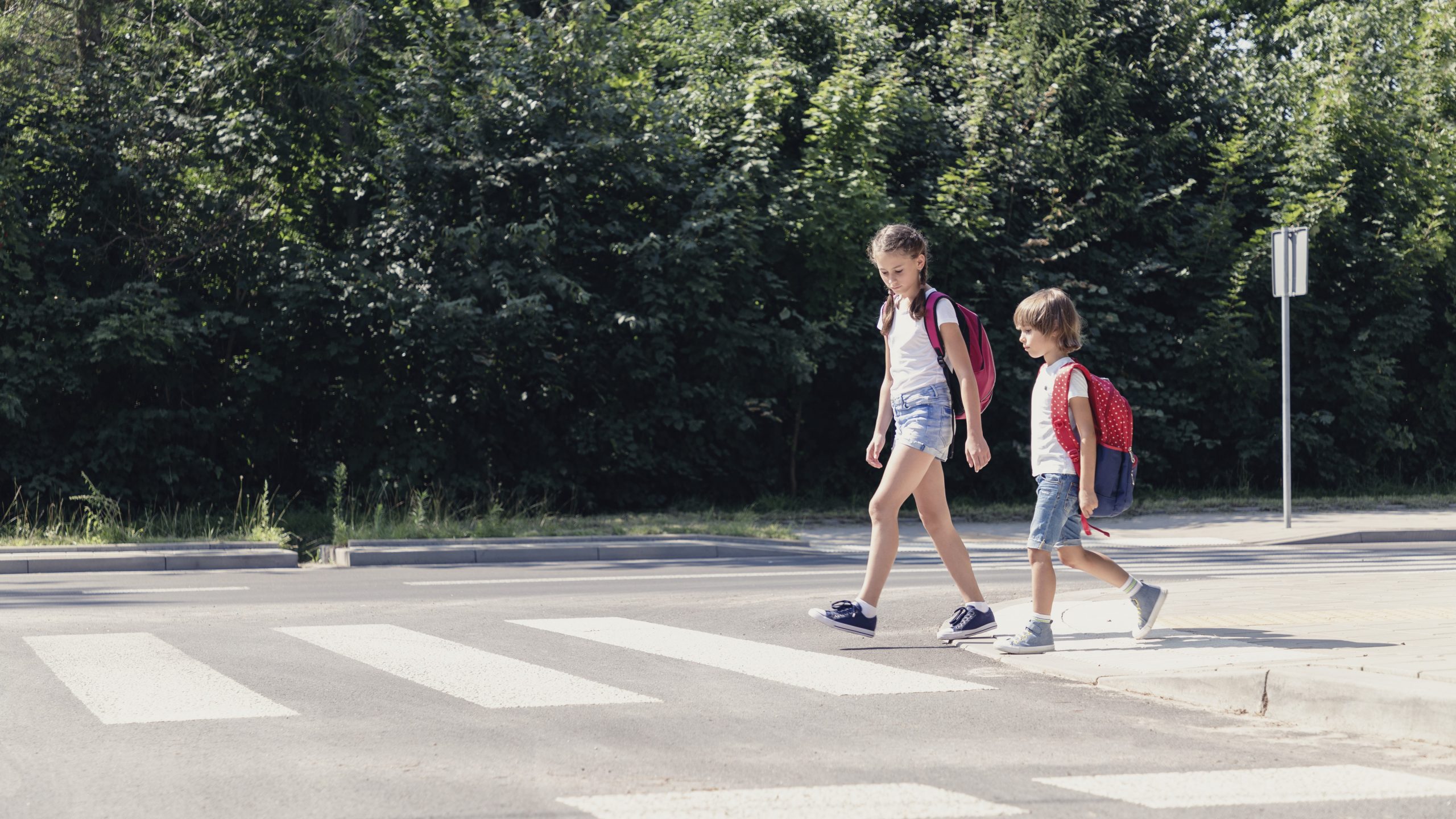 Girl and boy with backpacks walking on pedestrian crossing from the school